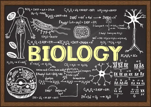 biology classes in Power House Bhilai