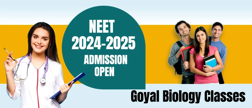 coaching for neet in Sector 4 Bhilai